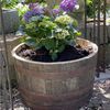 Temesso Pflanzkübel D 65cm - Halbes originales schottisches Whiskyfass Bild 3