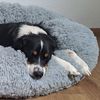 Nobby Hundebett & Katzenbett Donut Classic Esla 50 x 20 cm grau Bild 3