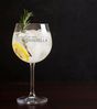 Lasernauten Cocktailglas Gin Glas mit Gravur 630 ml Cocktailglas Ginglas Gin Gläser mit Spruch Bild 2