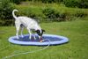 Dobar Splash Pool mit Wasserfontänen für Hunde 150 x 150 cm Bild 3
