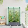 vidaXL Hochbeet mit Gewächshaus-Aufsatz Rattan-Optik 80x40x123 cm 4015824 Bild 3