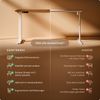 Desktronic HomeOne Elektrisch höhenverstellbarer Schreibtisch 160x80cm Weiß/Walnuss mit Memory-Funktion, Anti-Kollisions Technologie, USB-A und USB-C-Ladeanschlüssen Bild 5