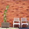 Relaxdays Ausziehbares Rankgitter Holz 3er Set Bild 3