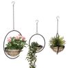 DanDiBo Blumenampel Innen Metall Wand Hängepflanzen 96087 3er Set mit Topf Silber Pflanzenhänger Blumenhänger Topfhänger Blumen Blumentopfhänger Hängetopf Bild 5