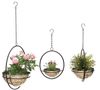 DanDiBo Blumenampel Innen Metall Wand Hängepflanzen 96087 3er Set mit Topf Silber Pflanzenhänger Blumenhänger Topfhänger Blumen Blumentopfhänger Hängetopf Bild 3