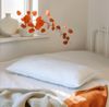 John Cotton Microfaserkissen Emilia, Kopfkissen 40x80 cm, 80x80 cm, Füllung: Polyester, Bezug: Microfaser, Kissen, allergiker geeignet (für Hausstauballergiker) Bild 3
