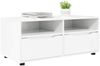 vidaXL TV-Schränk Hochglanz Weiß 100 x 48 x 43 cm Holzwerkstoff 888931 Bild 3