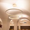s.luce LED Ring Hängeleuchte 2-flammig Zentrisch Aluminium Ø 60 | 40cm Bild 2