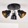 hofstein Deckenleuchte »Rimini« runde Deckenlampe aus Metall in Schwarz/Gold, ohne Leuchtmittel, mit verstellbaren Strahlern, 3xE14, Spot im Retro/Vintage Design Bild 3