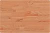 vidaXL Tischplatte 60x40x2,5 cm Rechteckig Massivholz Buche 3188895 Bild 2