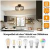 Jibenhome LED Deckenleuchte Vintage Deckenleuchte Küche Industrial Hängeleuchte mit Glühbirne, Hängeleuchte aus Metall für Wohnzimmer Büro Küche Balkon Bild 2