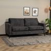 Bronx71 Samt Sofa 3-Sitzer Florida anthrazit Bild 4