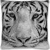 Bestlivings Kissenbezug Fotodruck Motiv in 40x40 cm, Flauschig weiche Kissen-Hülle in vielen Motiven erhältlich ( Design: Tiger Grey ) Bild 2