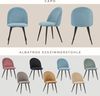 Albatros Esszimmerstühle mit Samt-Bezug 4er Set CAPO, Blau - Stilvolles Vintage Design, Eleganter Polsterstuhl am Esstisch - Küchenstuhl oder Stuhl Esszimmer mit hoher Belastbarkeit Bild 5