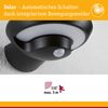 Paulmann 94855 Solar LED Aussenwandleuchte Bordola Bewegungsmelder IP44 3000K Bild 3