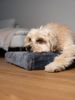TrendPet Tiermatratze VitaMedog - orthopädische Matratze, 7 cm dicke Liegefläche aus 100 % Memory Foam Bild 2