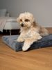 TrendPet Tiermatratze VitaMedog - orthopädische Matratze, 7 cm dicke Liegefläche aus 100 % Memory Foam Bild 4