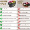 GarPet Balkonkasten 2x Geländerkasten Balkon mit Wasserspeicher Blumen Topf Kasten Bild 3