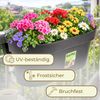 GarPet Balkonkasten 2x Geländerkasten Balkon mit Wasserspeicher Blumen Topf Kasten Bild 5