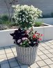 Rattan Pflanzkorb "Rustikal" rund Ø 60x45 cm groß, grau, Outdoor Blumentopf, Pflanzkübel, Pflanztopf für Draußen, Blumenkübel Bild 3