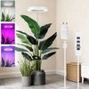 Laybasic Pflanzenlampe 72LEDs Pflanzenlampe Vollspektrum,Garten Zimmergewächshaus Growlight, 35–155 cm höhenverstellbar,Dimmbare Helligkeit,3/9/12H Timer Bild 1