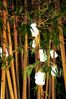 Balad LED Outdoor Leuchte H12 Dreier Set Anthrazit Bild 5