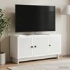 vidaXL TV-Schränk Hochglanz Weiß 99 x 34,5 x 50 cm Holzwerkstoff 894029 Bild 4