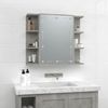 vidaXL Spiegelschrank mit LED Betongrau 70x16,5x60 cm 808877 Bild 4