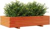 vidaXL Pflanzkübel Wachsbraun 110x60x26,5 cm Massivholz Kiefer 847350 Bild 4