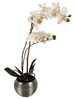 Kunstblume Künstliche Blumen, Pflanzen mit silbernen Topf - wie echt, real touch weiße Orchideen, Online-Fuchs, hochwertig, zeitlos und verblühen nie Bild 5