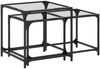 vidaXL Satztische 2 Stk. mit Glasplatte Transparent Stahl 845984 Bild 2