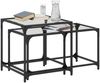vidaXL Satztische 2 Stk. mit Glasplatte Transparent Stahl 845984 Bild 3