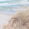 Paravent mit Fotodruck Ostsee, Sichtschutz, Raumteiler Bild 2