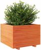 vidaXL Pflanzkübel Wachsbraun 70x70x49,5 cm Massivholz Kiefer 3282526 Bild 4