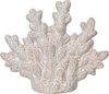 Kaemingk Tisch-Deko Muschel Porzellan 15 cm beige Bild 1