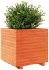 vidaXL Pflanzkübel Wachsbraun 50x50x49,5 cm Massivholz Kiefer 3282516 Bild 4
