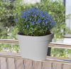 Spetebo Blumentopf Balkon Blumentopf OVAL - groß / grau (Stück, 1 St, Pflanztopf), Kunststoff Pflanzkasten zum Einhängen Bild 4