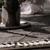 obsession My Dakar 365 anthrazit 200 x 290 cm Bild 3