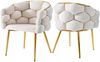 2 Samtstühle Set, 44x41x74 cm, Beige mit vergoldeten Beinen, Bubble Design Bild 3