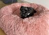 Nobby Hundebett & Katzenbett Donut Classic Esla Ø 50 cm altrosa Bild 4