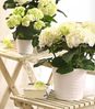 Dehner Blumentopf Wave, Ø 23 - 29 cm, Höhe 22 - 25 cm, rund, Indoor, Keramik Bild 2