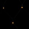 vidaXL LED-Lichternetz Warmweiß 3x3 m 306 LEDs Indoor Outdoor 328778 Bild 5