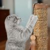 Kratzsäule mit Spielzeug 10045528 Bild 5