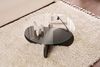 Stylish Coffee Table, 75 x 35 x 75 cm | 100% Tempered Glass & Melamine Coated Particle Board | Black & Fume Finish | Modern Design for Living Room & Office Bild 4
