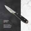 Meisterkoch Gemüsemesser Messer Küchenmesser | 8,5 cm Klinge aus rostfreiem deutschen Edelstahl | ergonomischer Micarta-Griff mit Fingerschutz, 3-fach vernietet Bild 3