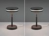 2-er Set kleine LED Tischleuchten rund, Anthrazit, Höhe 25cm Bild 3