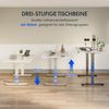 FLEXISPOT Schreibtisch Elektrisch Höhenverstellbarer Schreibtisch EC5 LITE mit Dualmotor (25MM einteiliger Tischplatte & 3-fach Teleskop, 4 Speicherhöhen & Antikollisionssystem), 120x80/140x80/160x80/180x80 Bild 4