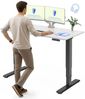 FLEXISPOT Schreibtisch Elektrisch Höhenverstellbarer Schreibtisch EC5 LITE mit Dualmotor (25MM einteiliger Tischplatte & 3-fach Teleskop, 4 Speicherhöhen & Antikollisionssystem), 120x80/140x80/160x80/180x80 Bild 2
