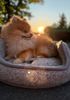 Hundebett Duo Merinowolle Ø 40 cm Farbe: Grau Bild 3