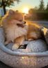Hundebett Duo Merinowolle Ø 40 cm Farbe: Grau Bild 2